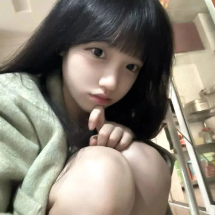老处女日记